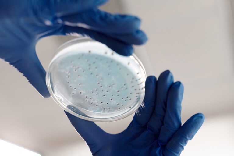 Comprehensive Guide to Advanced Environmental Genetics in Aquatic Systems