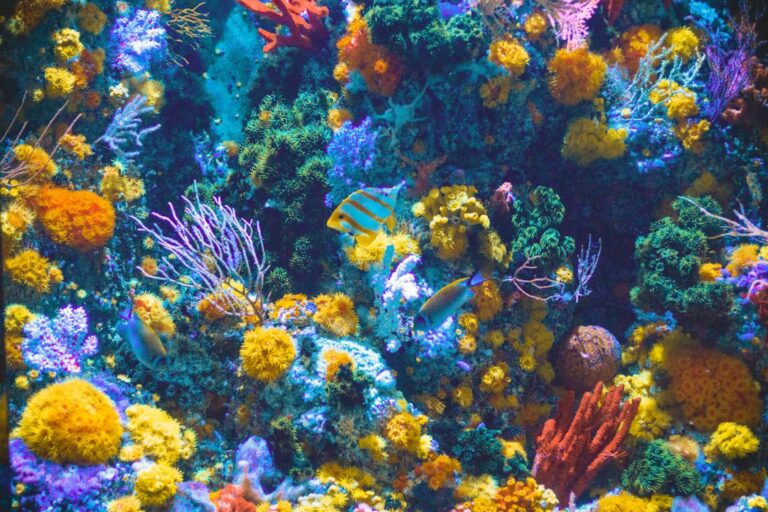Cycling Your New Aquarium