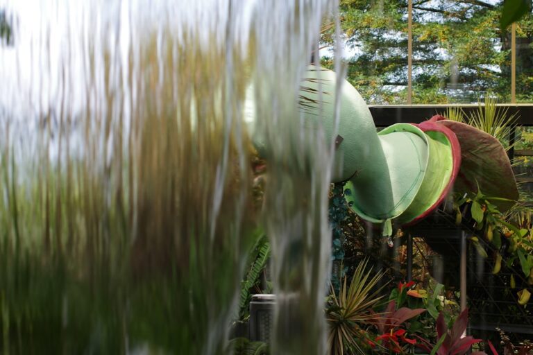 Revving Up the Current: My Journey with Powerheads for Water Circulation